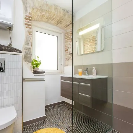 Modern Rino * 스플리트